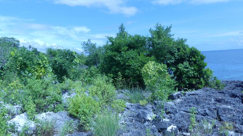 Residential Lot for sale in Alcoy in Cebu - image