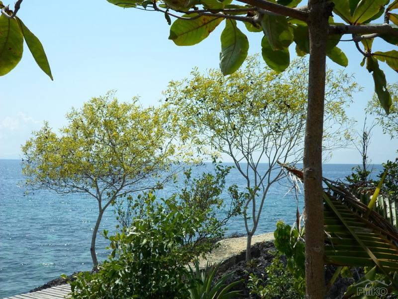 Resort Property for sale in Alcoy - image 11