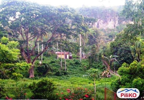 Pictures of Agricultural Lot for sale in Lipa