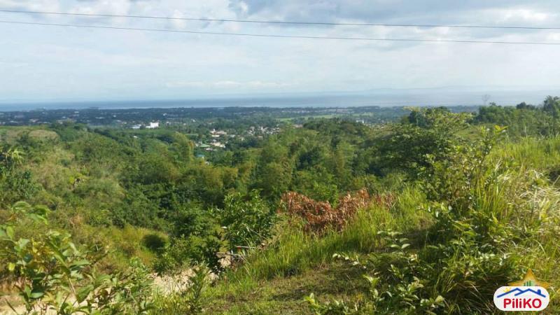 Residential Lot for sale in Mandaue - image 10