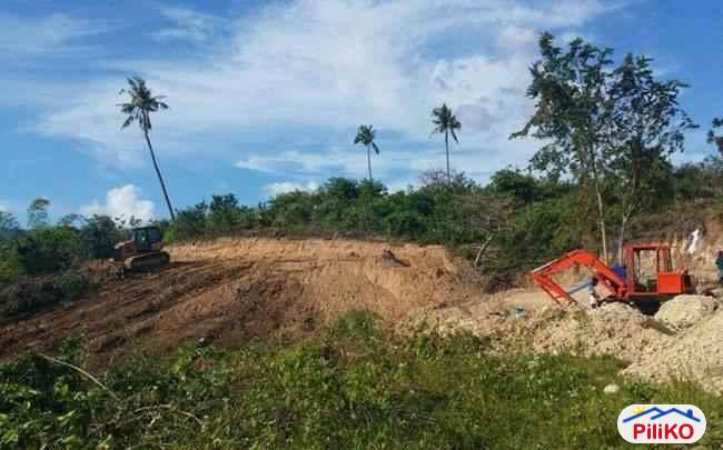 Residential Lot for sale in Mandaue