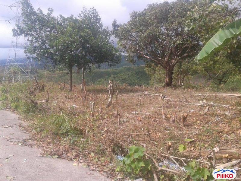 Residential Lot for sale in Talisay - image 2