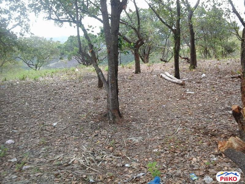 Residential Lot for sale in Talisay - image 3