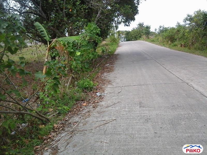 Picture of Residential Lot for sale in Talisay