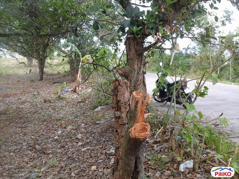 Residential Lot for sale in Talisay - image 3