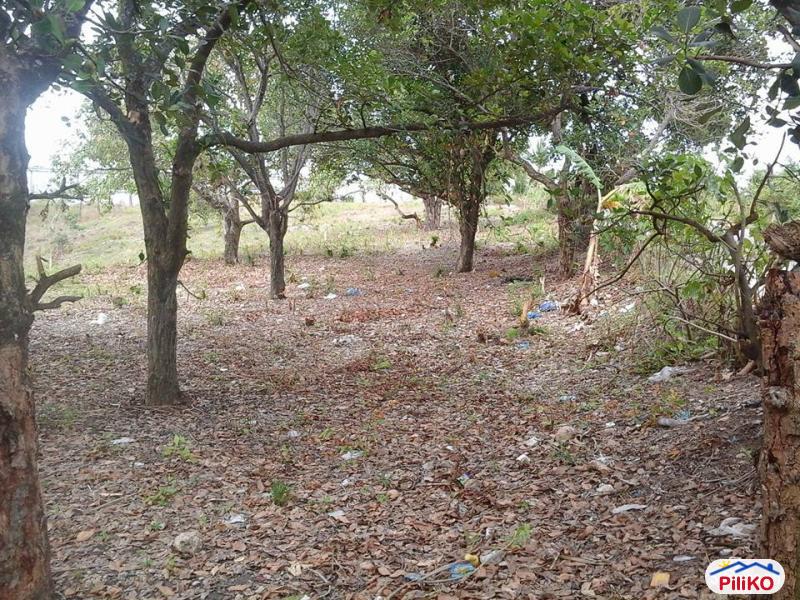 Residential Lot for sale in Talisay - image 4