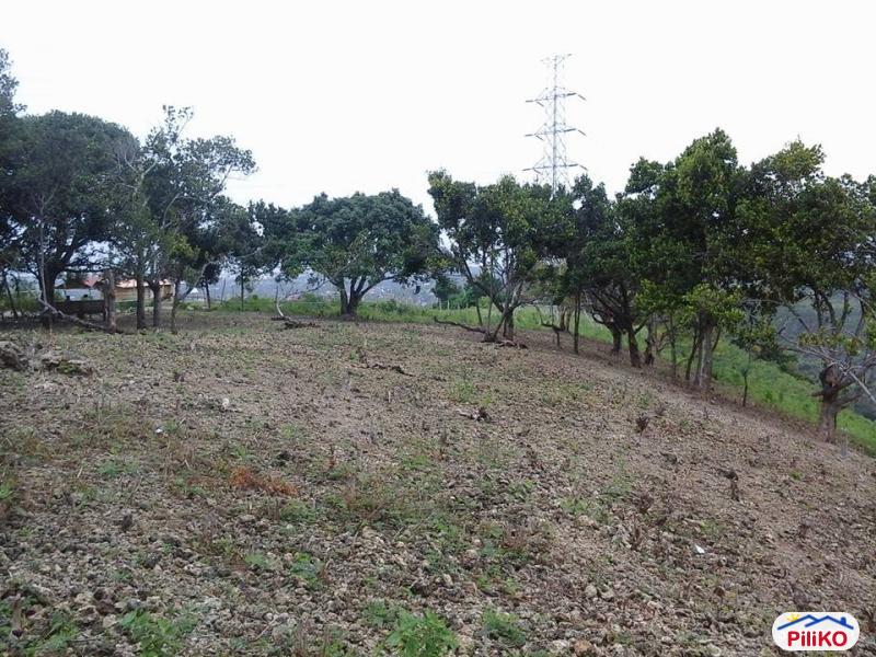 Residential Lot for sale in Talisay - image 2