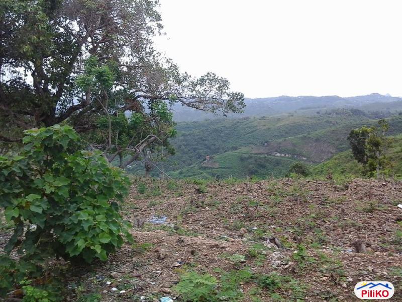 Residential Lot for sale in Talisay - image 2