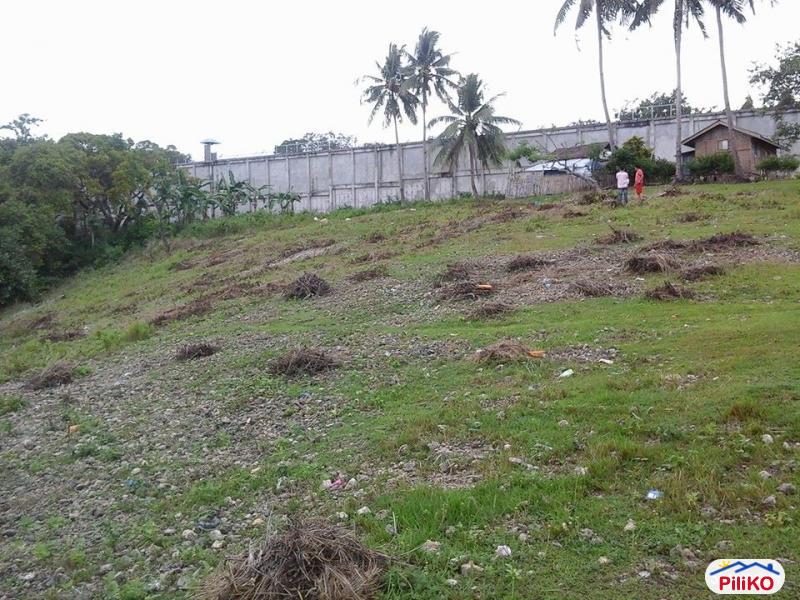 Residential Lot for sale in Talisay in Cebu
