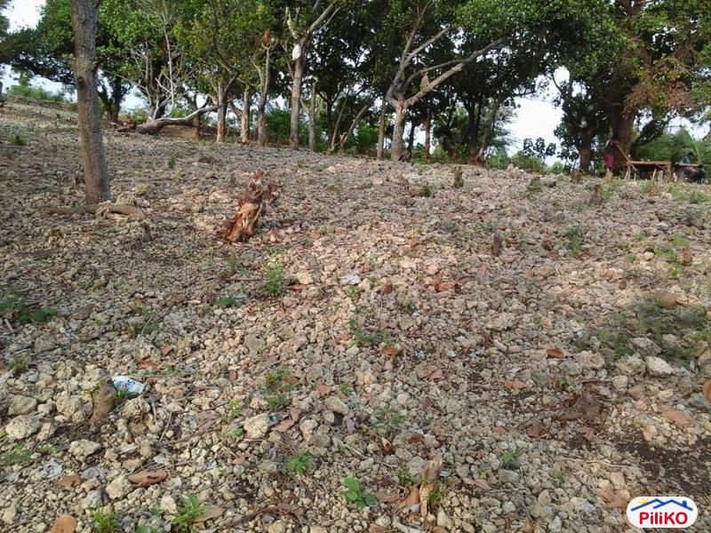 Residential Lot for sale in Talisay - image 3