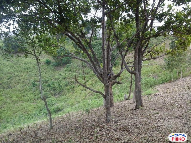 Residential Lot for sale in Talisay - image 4