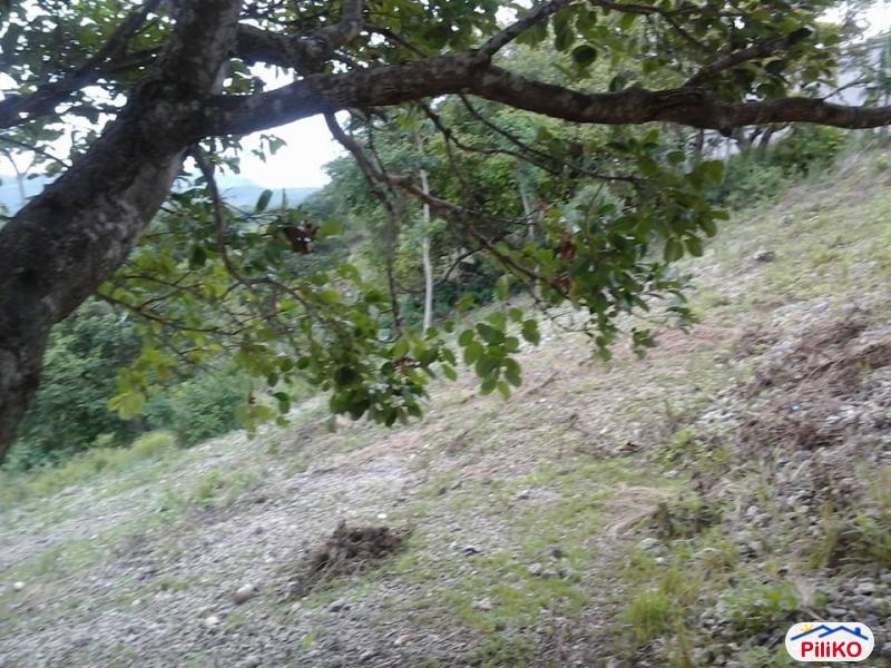 Residential Lot for sale in Talisay - image 5
