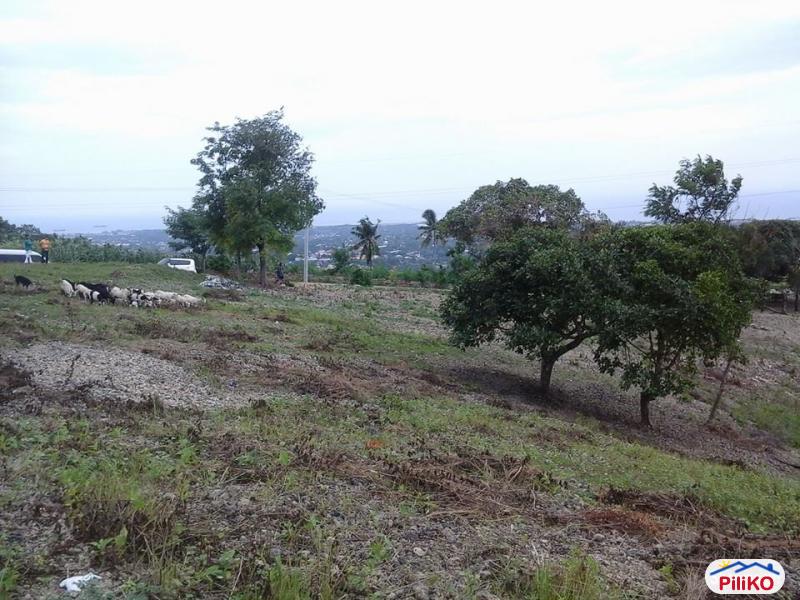 Picture of Residential Lot for sale in Talisay in Philippines