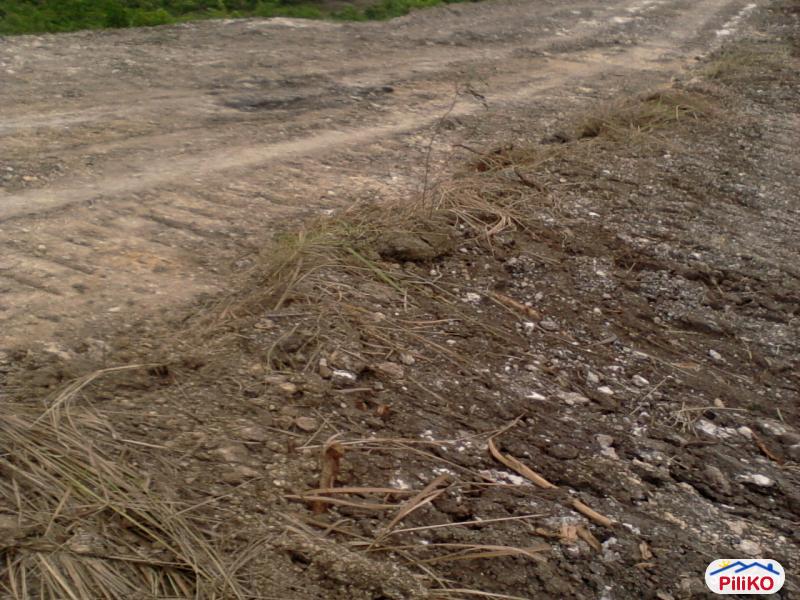 Pictures of Residential Lot for sale in Consolacion