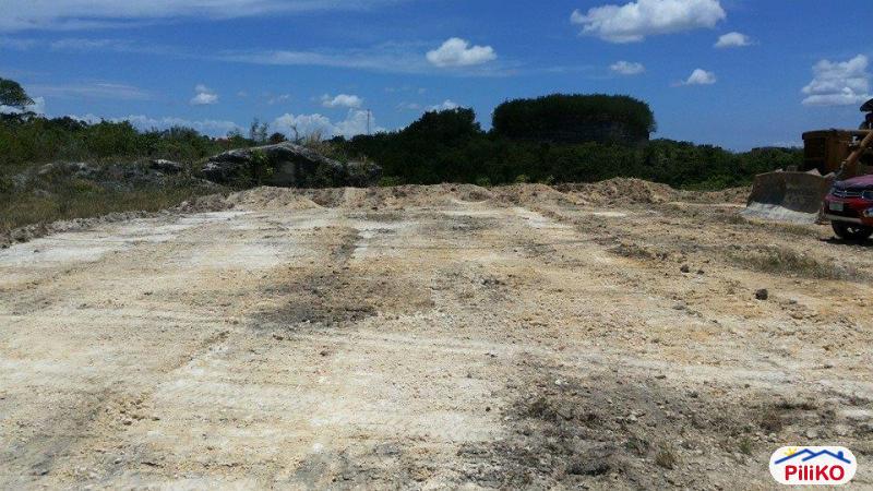 Pictures of Residential Lot for sale in Consolacion