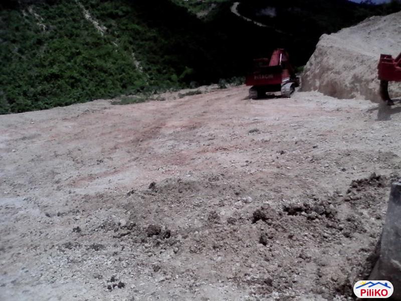 Residential Lot for sale in Consolacion - image 2