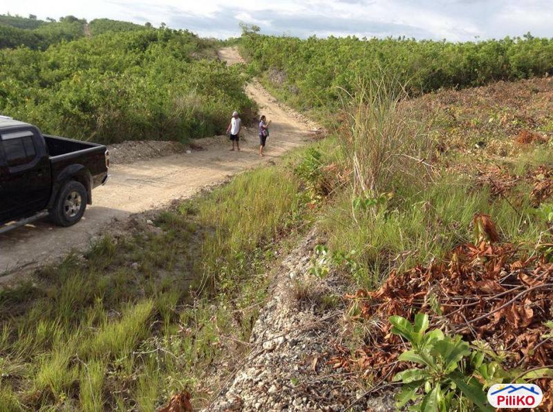 Residential Lot for sale in Consolacion in Philippines