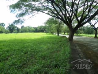 Lot for sale in Other Cities in Metro Manila