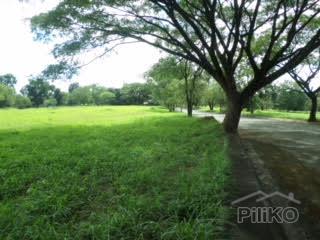 Lot for sale in Other Cities - image 3
