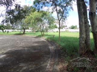 Lot for sale in Other Cities in Philippines