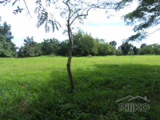 Lot for sale in Other Cities - image 6