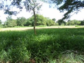 Lot for sale in Other Cities - image 7
