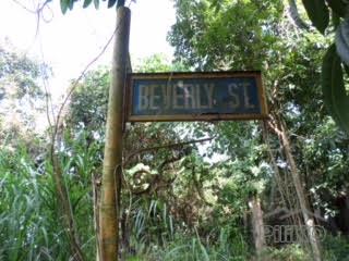 Lot for sale in Other Cities in Philippines - image