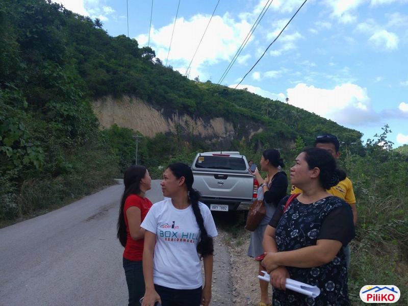 Residential Lot for sale in Cebu City - image 11