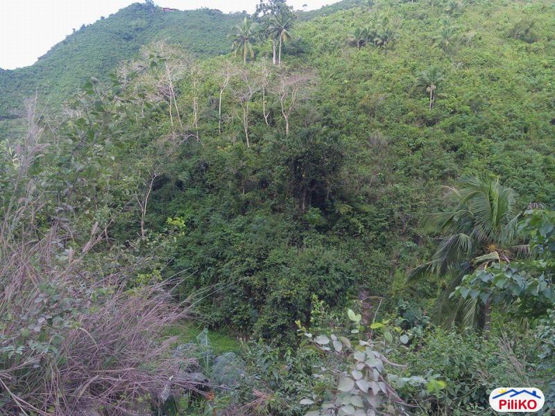 Residential Lot for sale in Cebu City - image 12