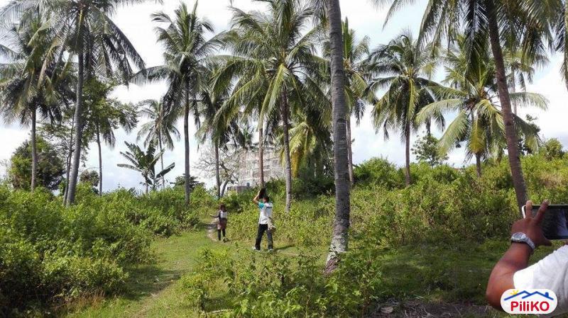 Residential Lot for sale in Cebu City - image 4