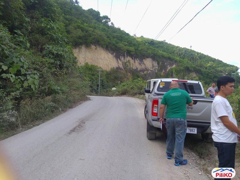 Residential Lot for sale in Cebu City - image 8