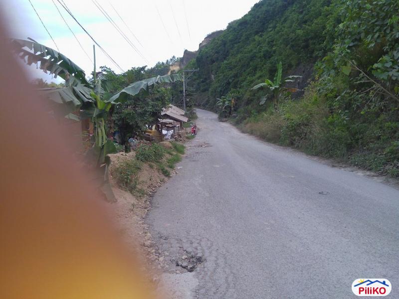 Residential Lot for sale in Cebu City - image 9