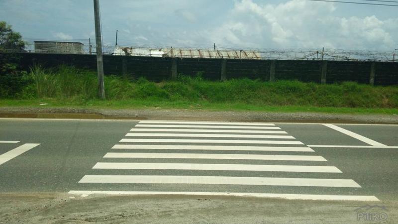 Land and Farm for sale in Cabangan - image 11