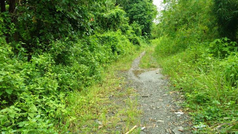 Land and Farm for sale in Cabangan - image 13