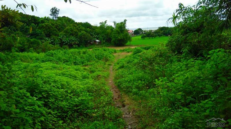 Land and Farm for sale in Cabangan - image 14