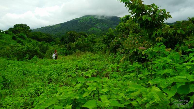 Land and Farm for sale in Cabangan - image 15
