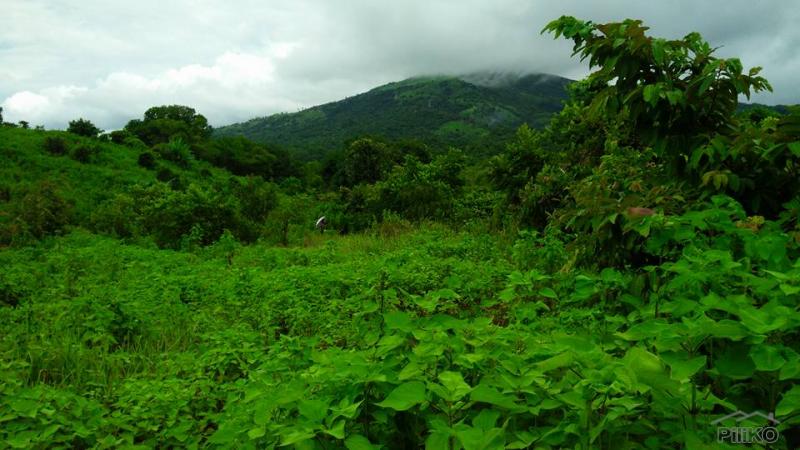 Land and Farm for sale in Cabangan