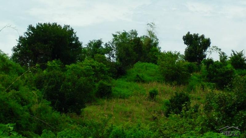 Land and Farm for sale in Cabangan in Philippines