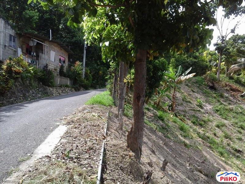Residential Lot for sale in Minglanilla