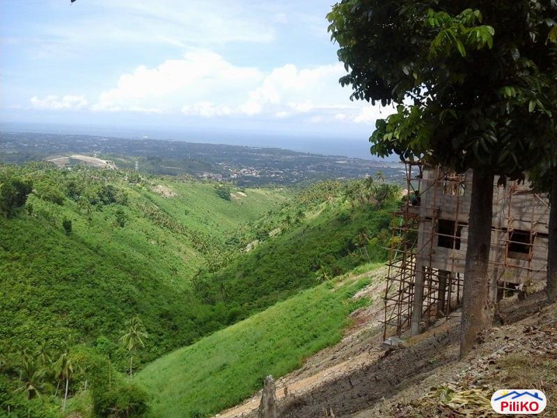 Residential Lot for sale in Minglanilla in Philippines