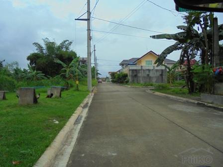 Residential Lot for sale in San Mateo - image 3