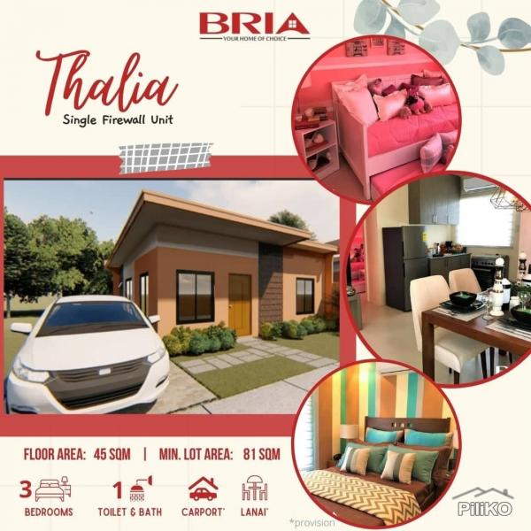 2 bedroom House and Lot for sale in Calbayog 501748