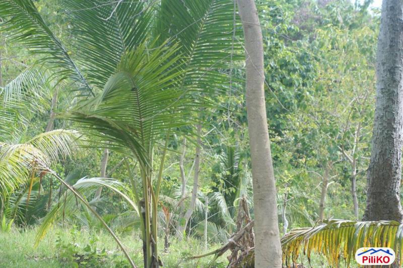 Residential Lot for sale in Cebu City - image 10