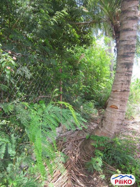 Residential Lot for sale in Cebu City - image 11