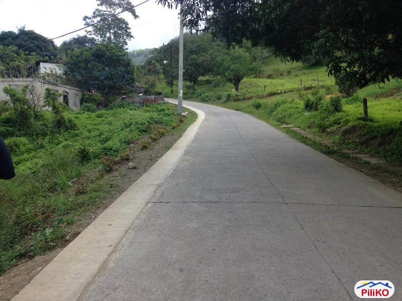 Picture of Residential Lot for sale in Cebu City