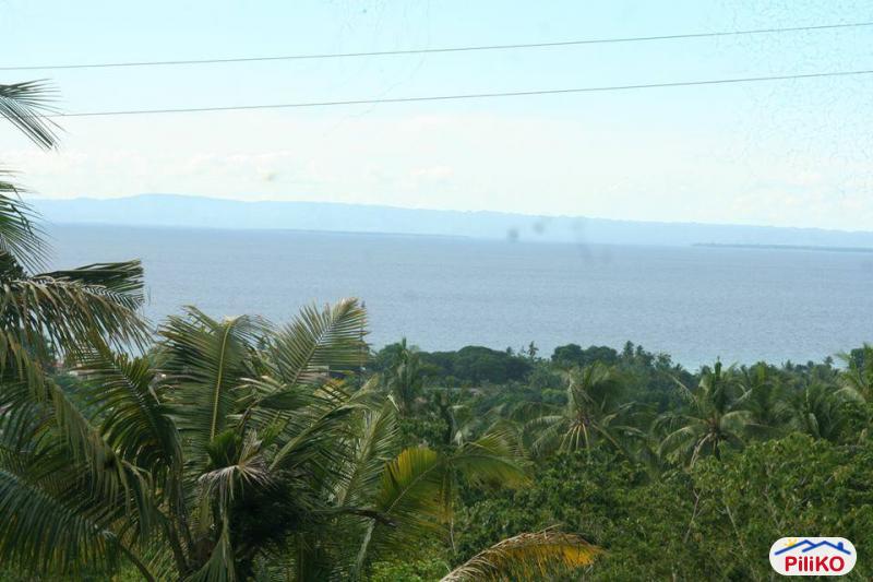 Picture of Residential Lot for sale in Cebu City