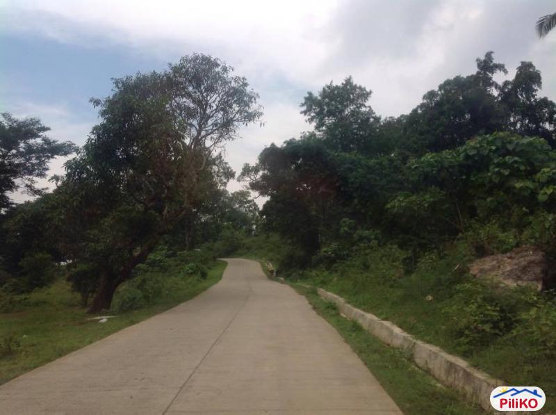 Pictures of Agricultural Lot for sale in Cebu City