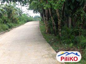 Picture of Agricultural Lot for sale in Cebu City