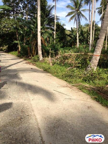 Picture of Residential Lot for sale in Cebu City