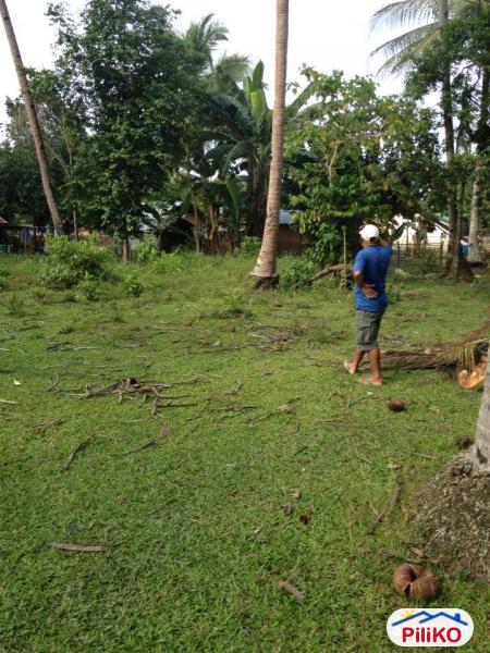 Picture of Residential Lot for sale in Cebu City